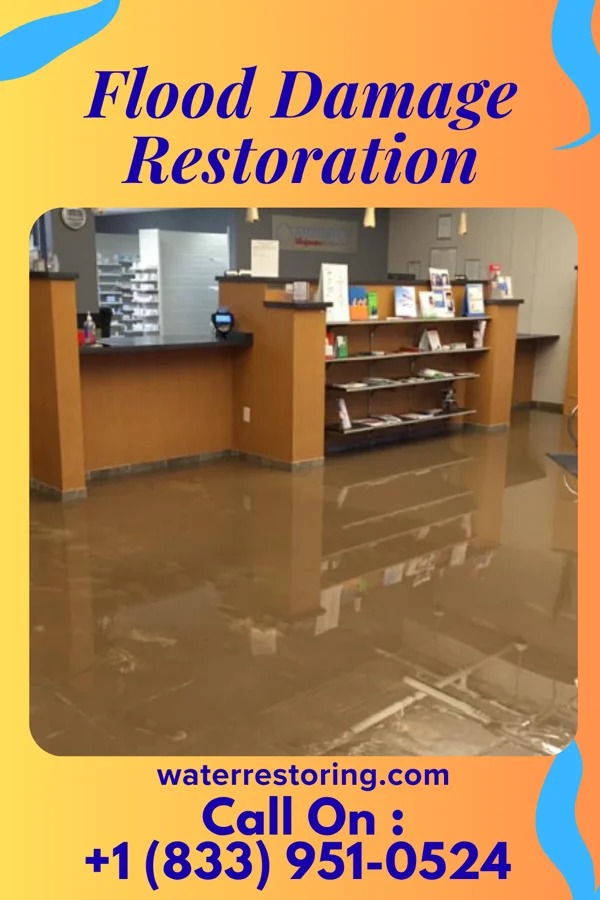 Flood Damage Restoration in La Vale, MD
