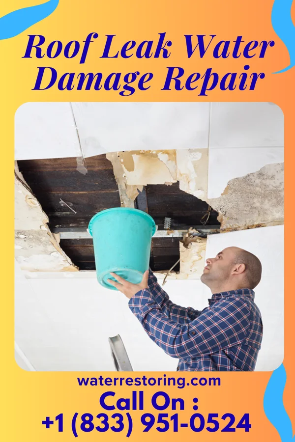 Roof Leak Water Damage Repair in La Vale, MD