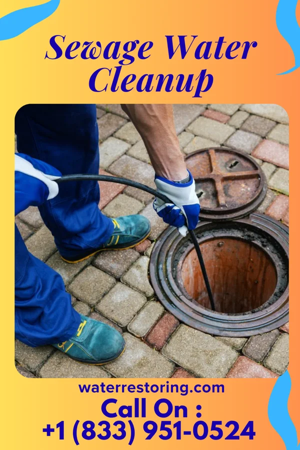 Sewage Water Cleanup in La Vale, MD