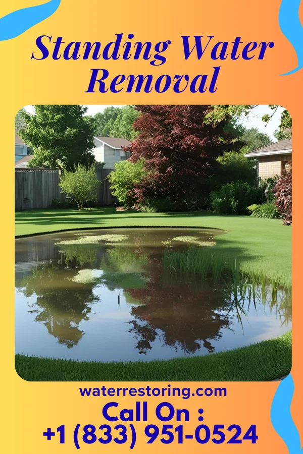Standing Water Removal in La Vale, MD